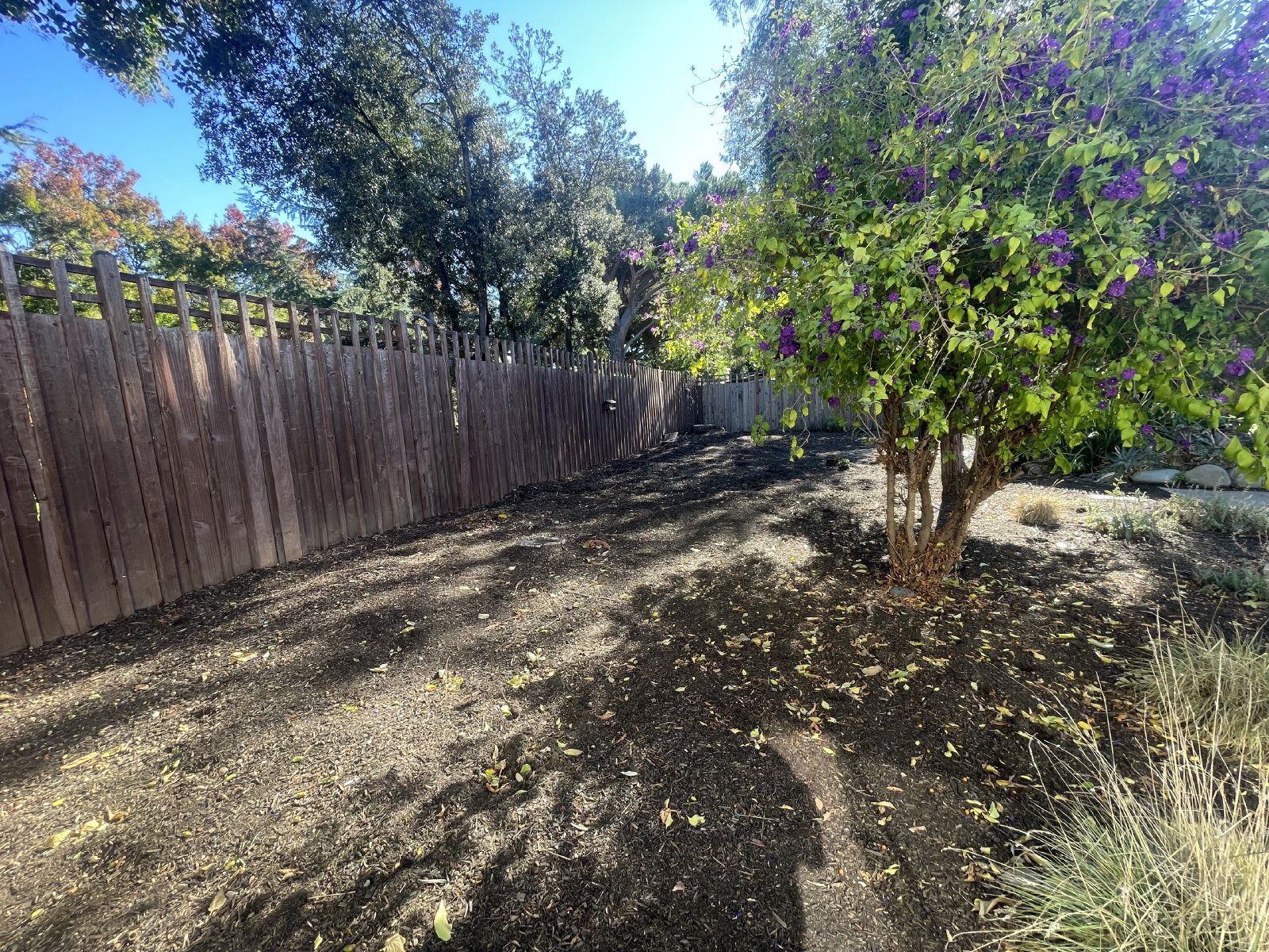 Wonderful Single Story 3 Bedroom, 2 Bath Center of Concord property image