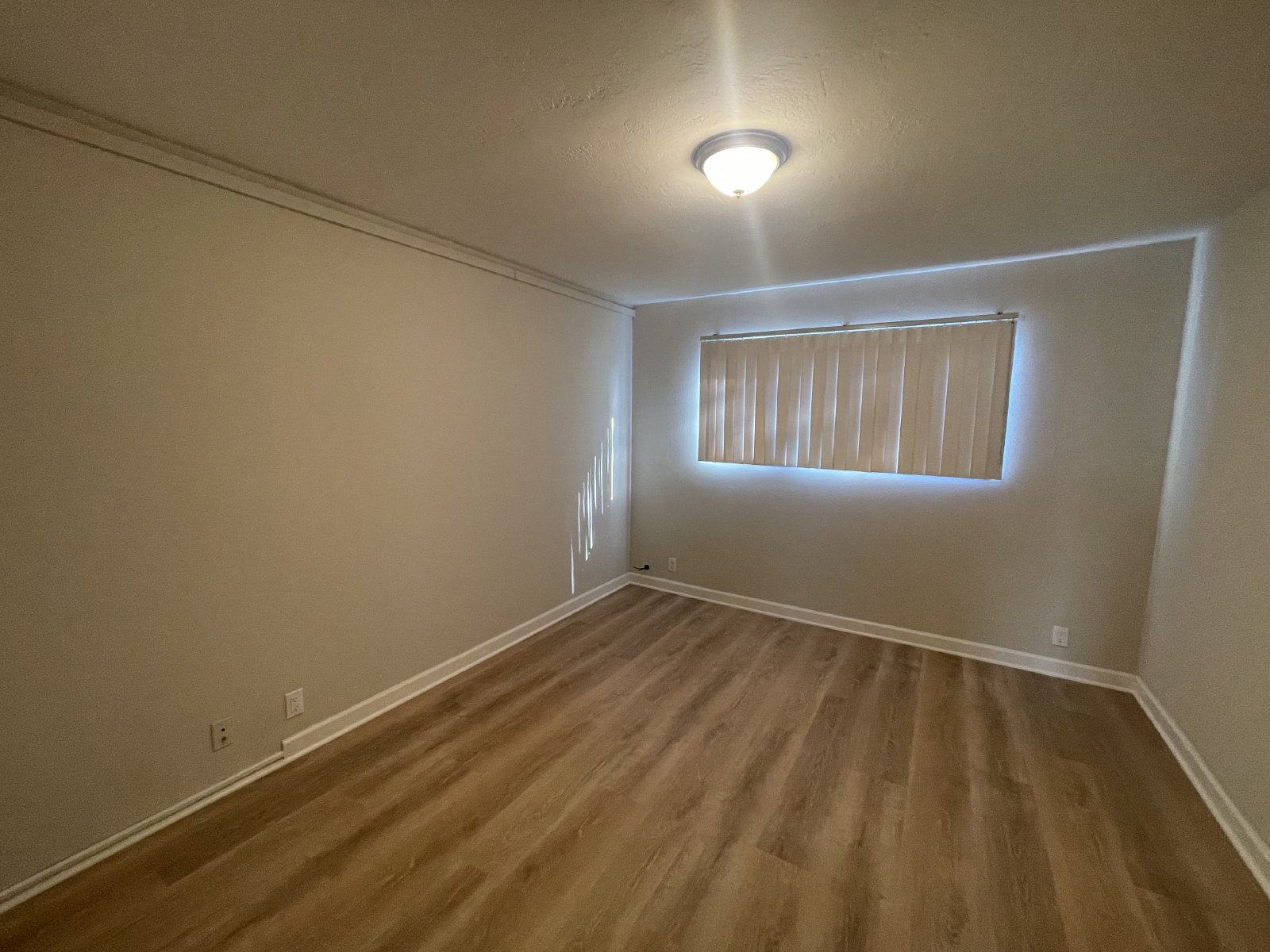 Gorgeous Concord Apartment! property image