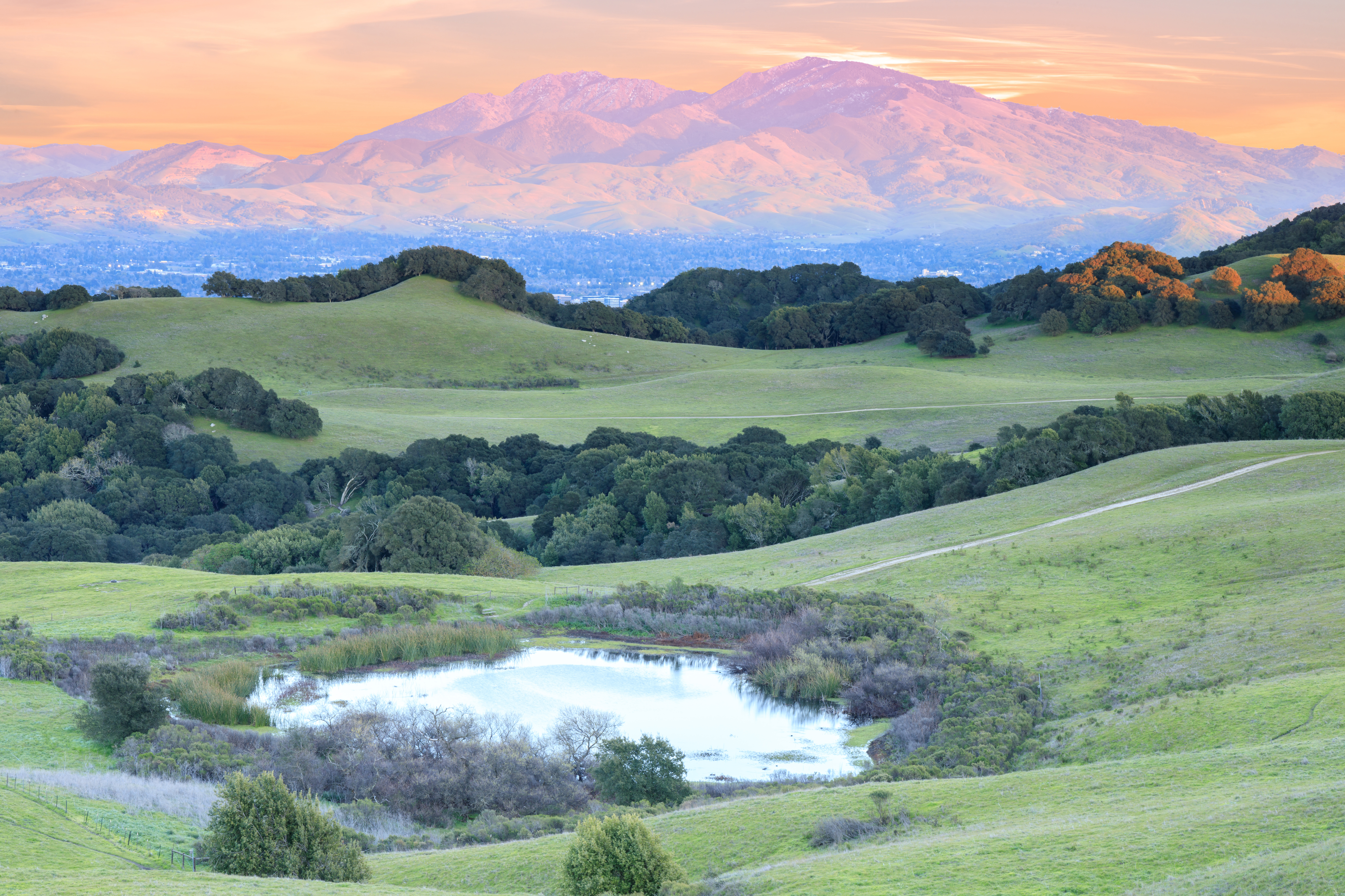 Contra Costa County Property Management